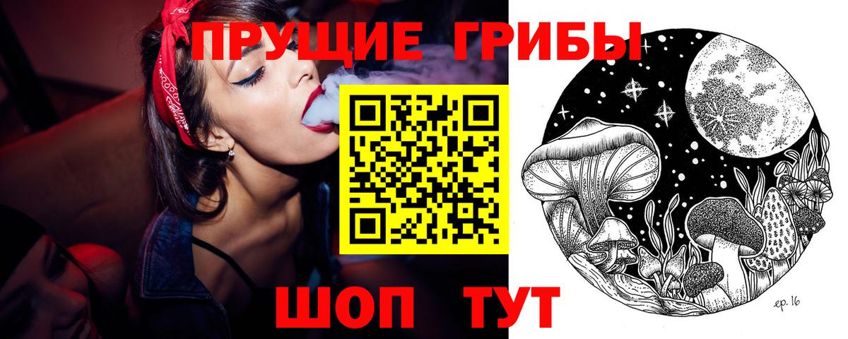 Галлюциногенные грибы Cubensis  Псилоцибиновые грибы мицелий  Вход с VPN  Сертолово 